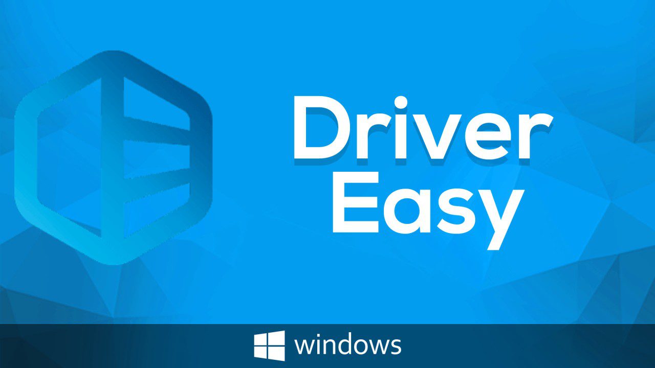 Driver Easy for Windows 10 - Driver Easy Professional software interface showing easy driver updates and installations.