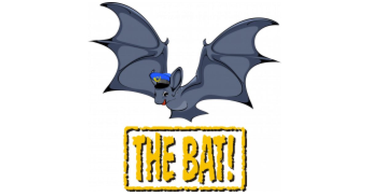 A cartoon bat wearing a blue pilot hat flies above a distressed yellow sign that reads, "THE BAT PROFESSIONAL!" The bat appears cheerful, with outstretched wings.